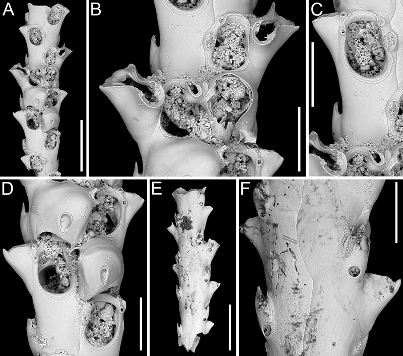 figure13