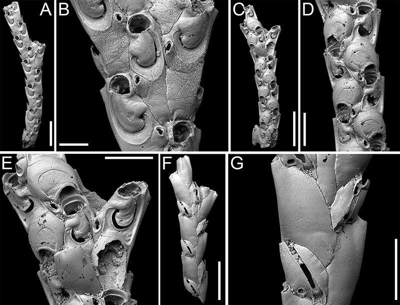 figure14