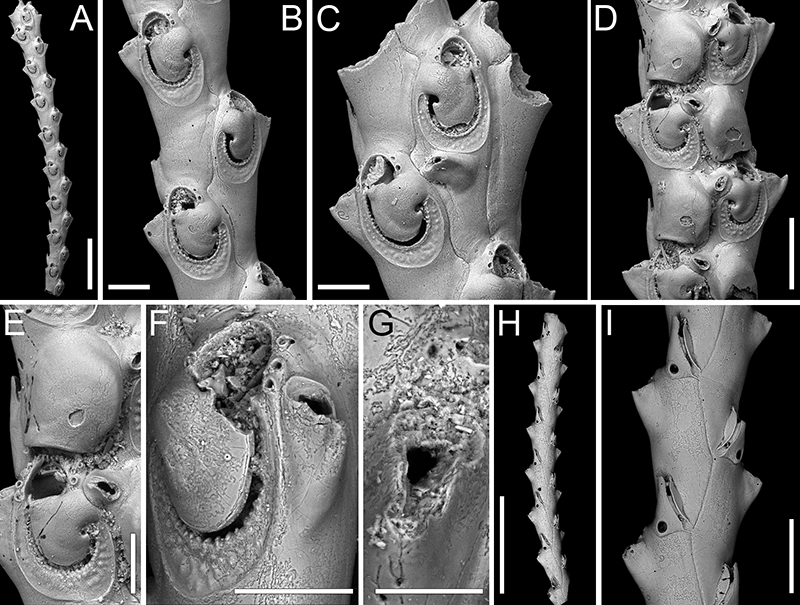 figure15