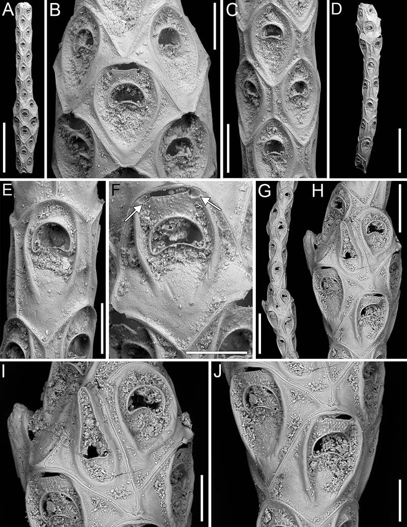 figure17