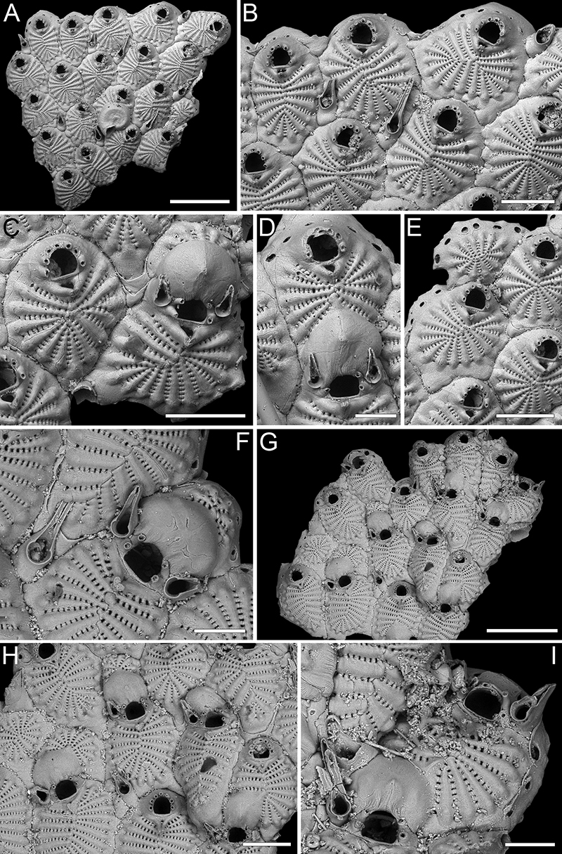 figure18