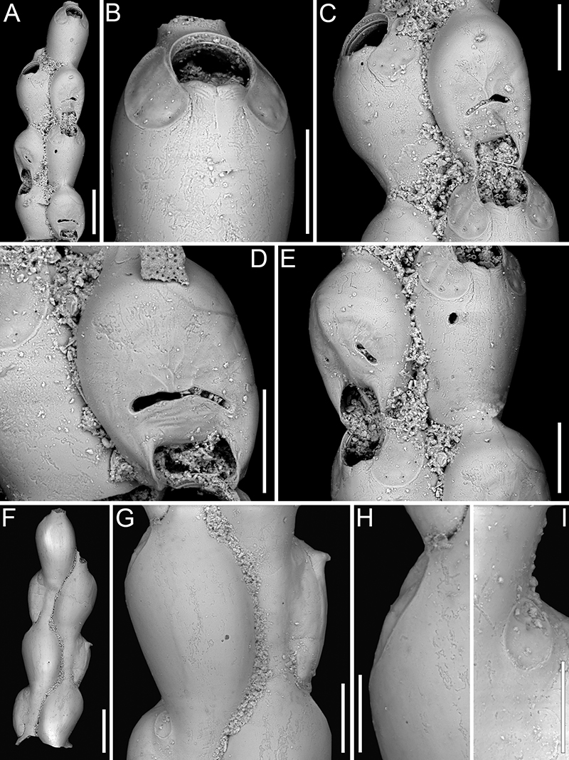 figure21