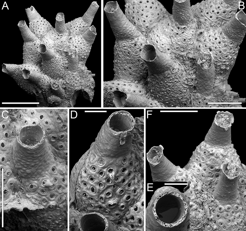 figure23