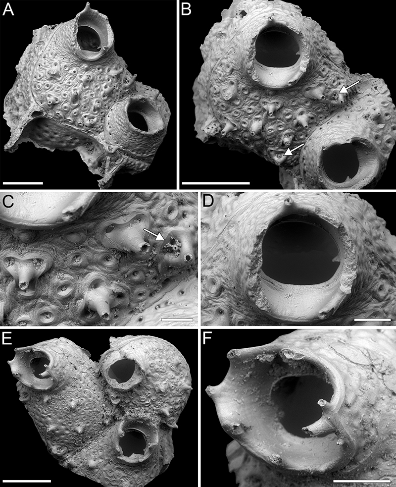 figure24