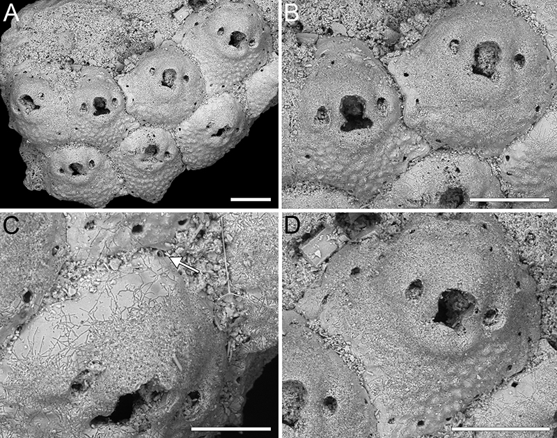 figure25