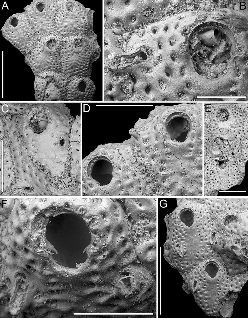 figure27