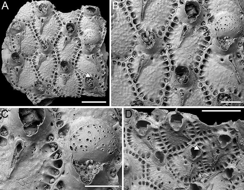 figure28