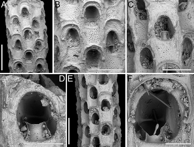 figure3