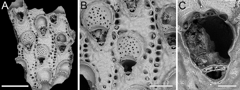 figure30