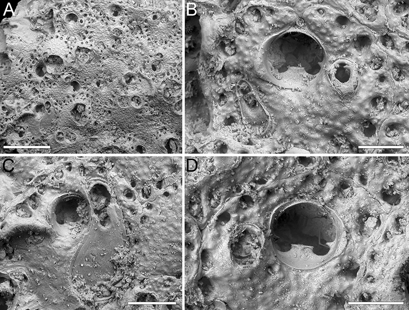 figure31