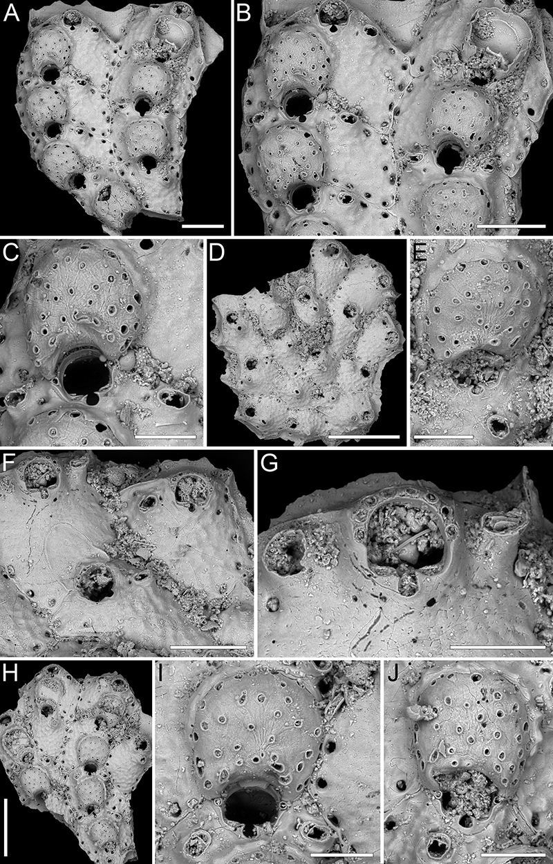 figure34