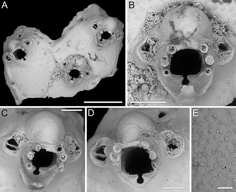 figure40