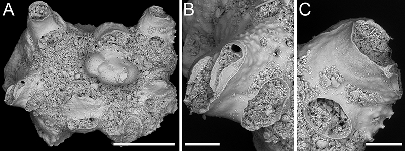 figure42