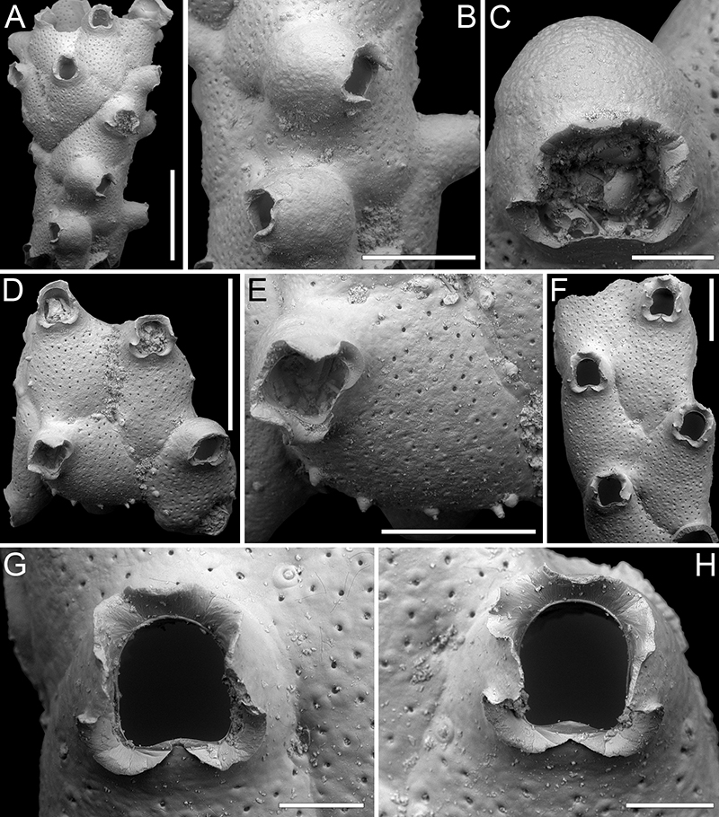 figure44