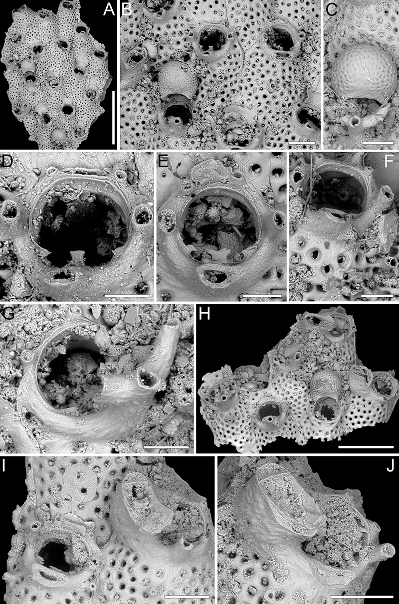 figure46