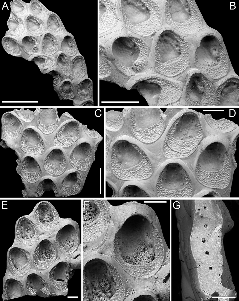 figure5