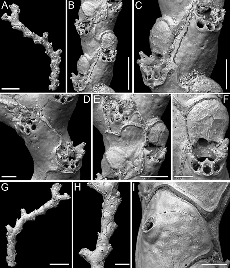 figure57