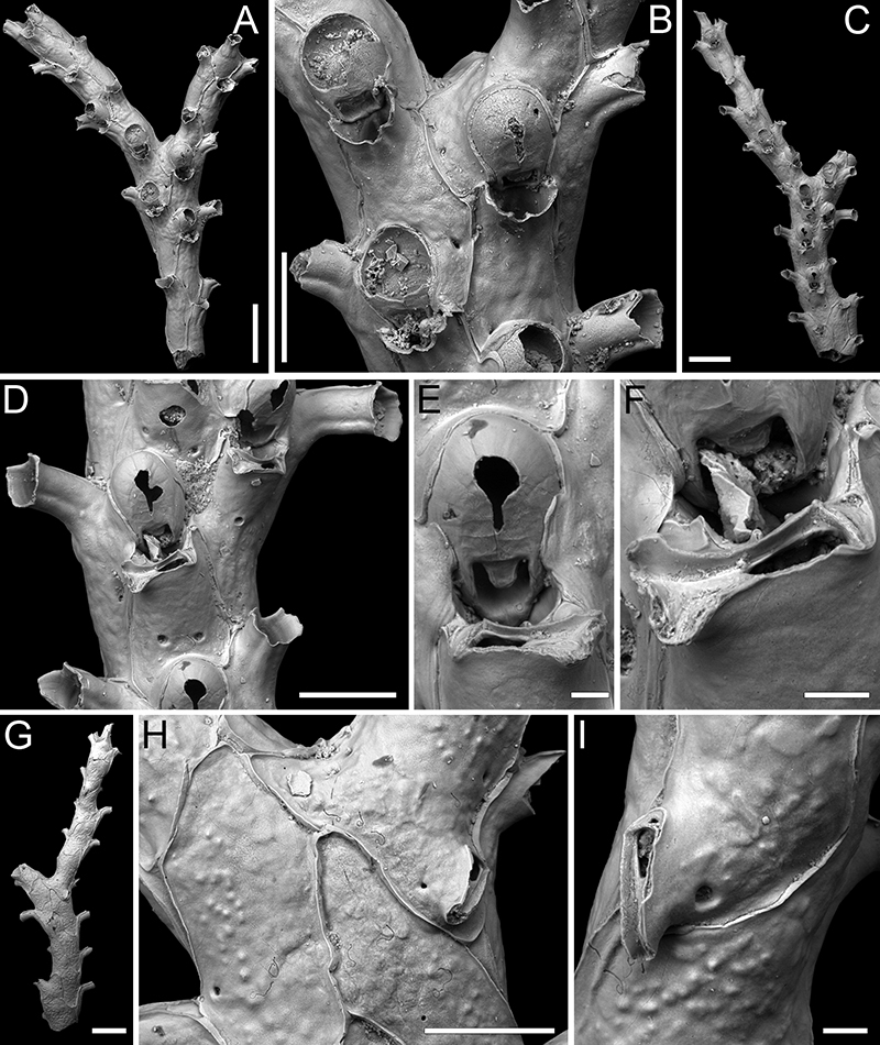 figure59