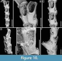 s figure10