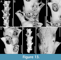 s figure13