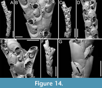 s figure14