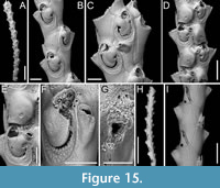 s figure15