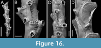 s figure15