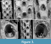 s figure3