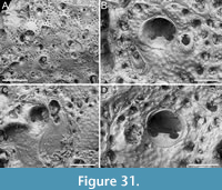 s figure31