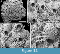 s figure32