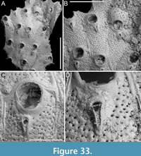 s figure33