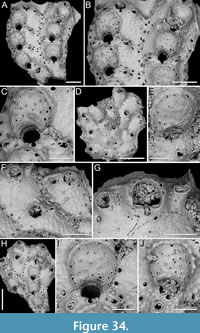 s figure34