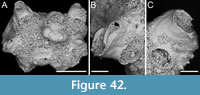 s figure42