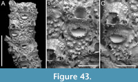 s figure43