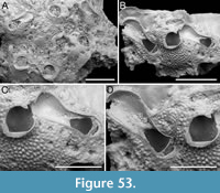 s figure53