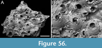 s figure56