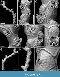 s figure57