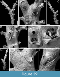 s figure59