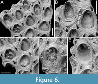 s figure6