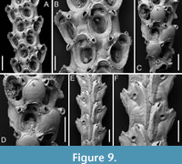 s figure9