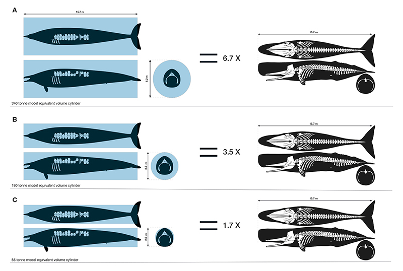 figure4