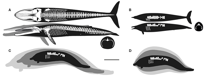 figure5