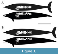 s figure3