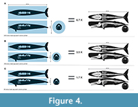 s figure4