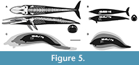 s figure5