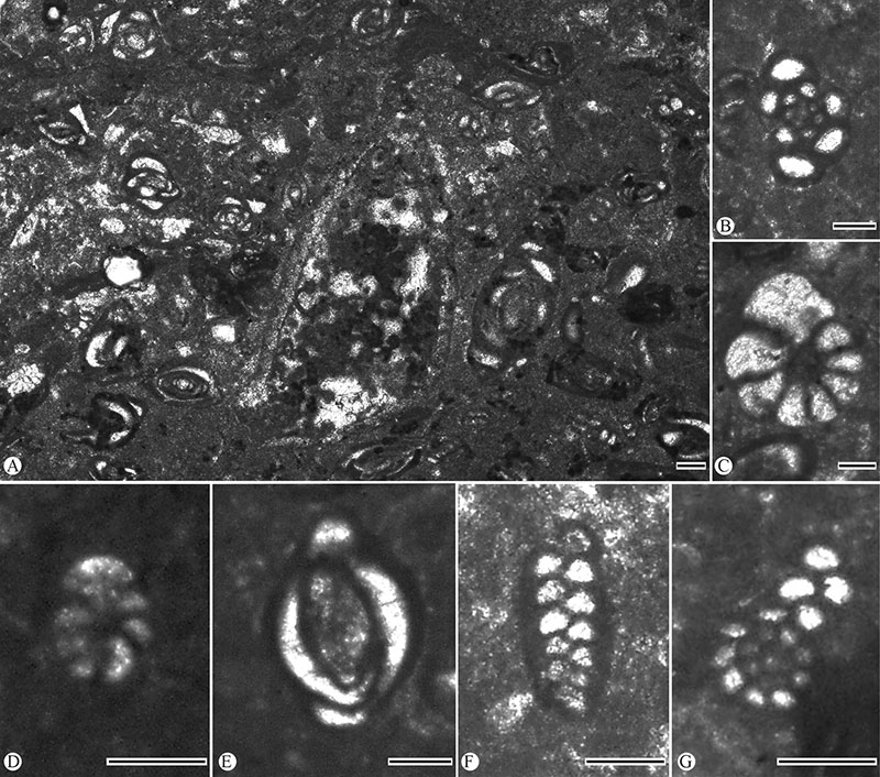 figure3