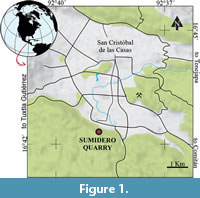 s figure1