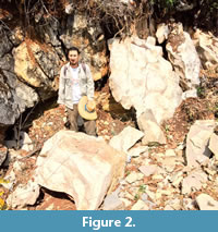 s figure2