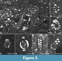 s figure3