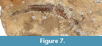 s figure7